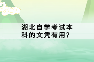 湖北自學(xué)考試本科的文憑有用？