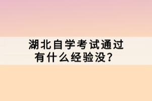 湖北自學(xué)考試通過有什么經(jīng)驗沒？