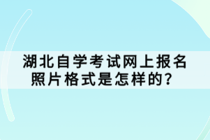 湖北自學(xué)考試網(wǎng)上報(bào)名照片格式是怎樣的？