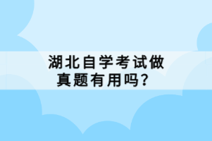 湖北自學考試做真題有用嗎？