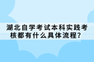 湖北自學(xué)考試本科實(shí)踐考核都有什么具體流程？