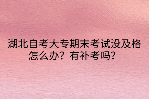 湖北自考大專期末考試沒及格怎么辦？有補考嗎？