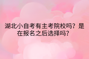 湖北小自考有主考院校嗎？是在報(bào)名之后選擇嗎？