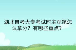 湖北自考大?？荚嚂r主觀題怎么拿分？有哪些重點？