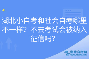 湖北小自考和社會自考哪里不一樣？不去考試會被納入征信嗎？