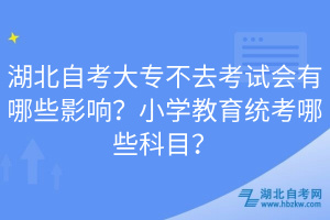 湖北自考大專不去考試會有哪些影響？小學(xué)教育統(tǒng)考哪些科目？