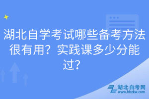 湖北自學考試哪些備考方法很有用？實踐課多少分能過？