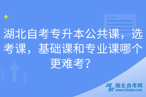 湖北自考專升本公共課，選考課，基礎(chǔ)課和專業(yè)課哪個更難考？