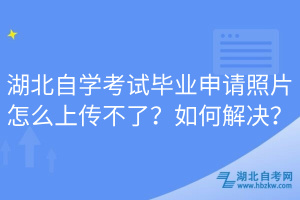 湖北自學(xué)考試畢業(yè)申請(qǐng)照片怎么上傳不了？如何解決？