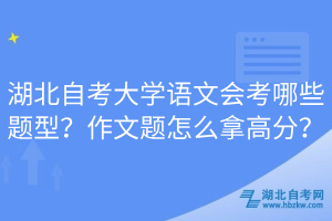 湖北自考大學(xué)語文會(huì)考哪些題型？作文題怎么拿高分？