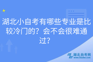 湖北小自考有哪些專業(yè)是比較冷門的？會不會很難通過？