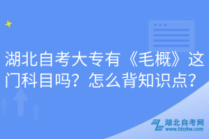 湖北自考大專有《毛概》這門科目嗎？怎么背知識點？