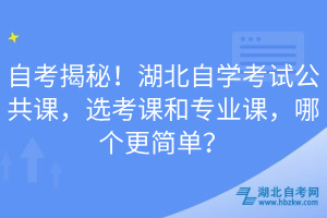 自考揭秘！湖北自學考試公共課，選考課和專業(yè)課，哪個更簡單？