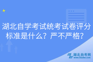 湖北自學(xué)考試統(tǒng)考試卷評(píng)分標(biāo)準(zhǔn)是什么？嚴(yán)不嚴(yán)格？