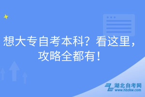 想大專自考本科？看這里，攻略全都有！