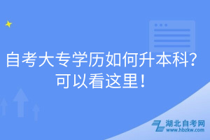 自考大專學(xué)歷如何升本科？可以看這里！