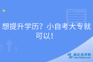 想提升學(xué)歷？小自考大專就可以！