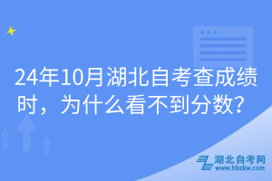 24年10月湖北自考查成績(jī)時(shí)，為什么看不到分?jǐn)?shù)？