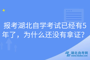 報(bào)考湖北自學(xué)考試已經(jīng)有5年了，為什么還沒有拿證？