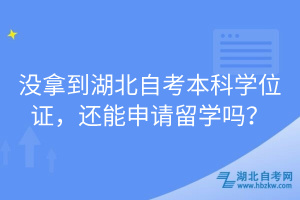 沒拿到湖北自考本科學位證，還能申請留學嗎？