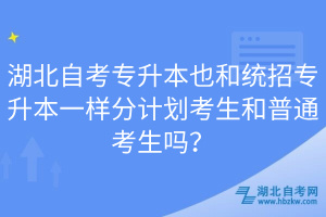 湖北自考專升本也和統(tǒng)招專升本一樣分計劃考生和普通考生嗎？