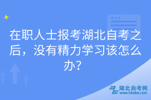 在職人士報(bào)考湖北自考之后，沒(méi)有精力學(xué)習(xí)該怎么辦？