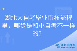 湖北大自考畢業(yè)審核流程里，哪步是和小自考不一樣的？