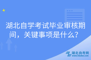 湖北自學(xué)考試畢業(yè)審核期間，關(guān)鍵事項(xiàng)是什么？