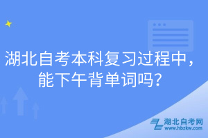 湖北自考本科復(fù)習(xí)過程中，能下午背單詞嗎？