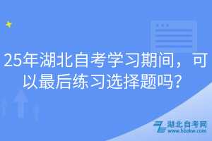 25年湖北自考學(xué)習(xí)期間，可以最后練習(xí)選擇題嗎？