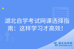 湖北自學(xué)考試網(wǎng)課選擇指南：這樣學(xué)習(xí)才高效！