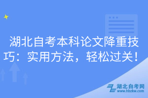 湖北自考本科論文降重技巧：實(shí)用方法，輕松過關(guān)！