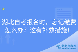 湖北自考報名時，忘記繳費怎么辦？這有補救措施！