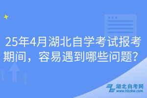 25年4月湖北自學(xué)考試報(bào)考期間，容易遇到哪些問(wèn)題？