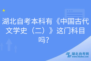 湖北自考本科有《中國(guó)古代文學(xué)史（二）》這門科目嗎？