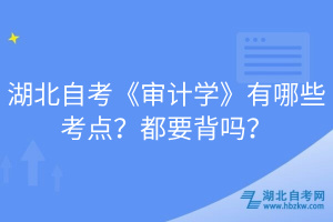 湖北自考《審計學》有哪些考點？都要背嗎？