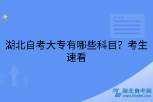 湖北自考大專有哪些科目？考生速看