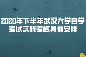 2020年下半年武漢大學(xué)自考實踐考核具體安排