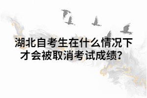 湖北自考生在什么情況下才會被取消考試成績？