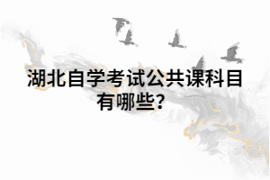 湖北自學(xué)考試公共課科目有哪些？