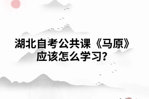 湖北自考公共課《馬原》該怎樣復(fù)習(xí)