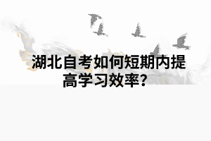 湖北自考如何短期內(nèi)提高學習效率？