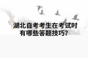 湖北自考考生在考試時(shí)有哪些答題技巧？