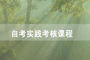 2021年湖北自考金融專業(yè)實(shí)踐考核課程