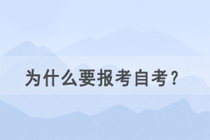 為什么要報(bào)考自考作為第二學(xué)歷？