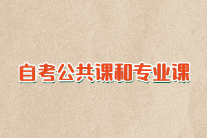 自考公共課和專業(yè)課各有多少門課程要考？