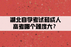 湖北自學考試和成人高考哪個難度大？