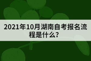 2021年10月湖南自考報名流程是什么？