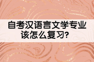 自考漢語言文學(xué)專業(yè)該怎么復(fù)習(xí)？