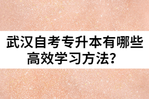 武漢自考專升本有哪些高效學(xué)習方法？